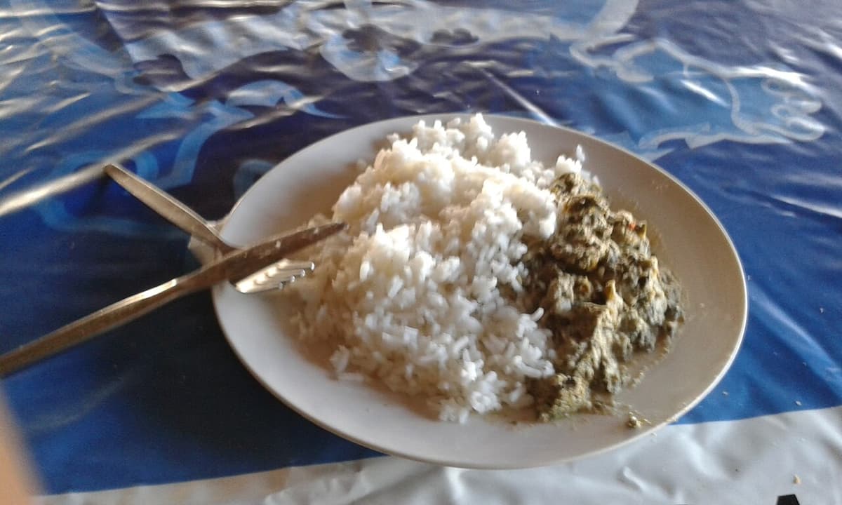 يخنة سميكة ورقية خضراء تقدم بجانب الأرز على طبق.