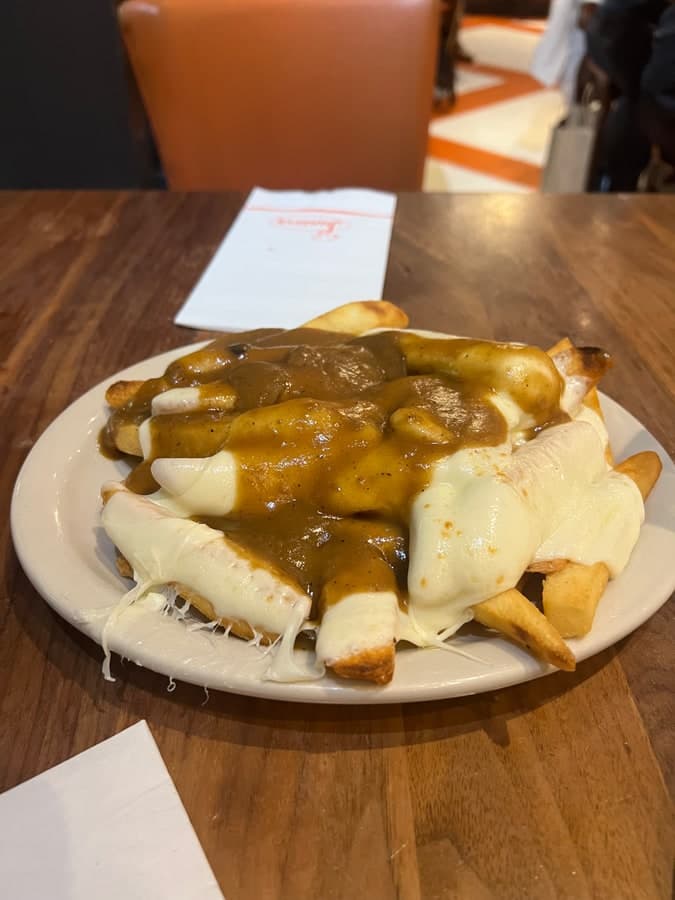 Schüssel Pommes mit brauner Soße und geschmolzenem Käse.