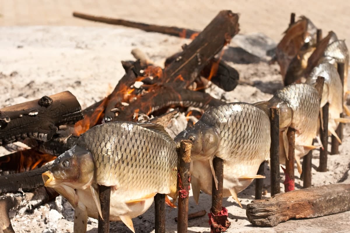 Ganze Fische stehen aufrecht auf Holzpfählen neben einem offenen Feuer.
